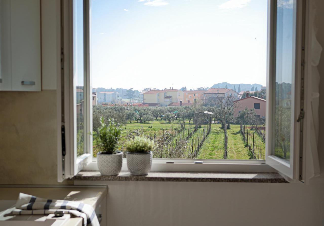 Apartament Karbonaca