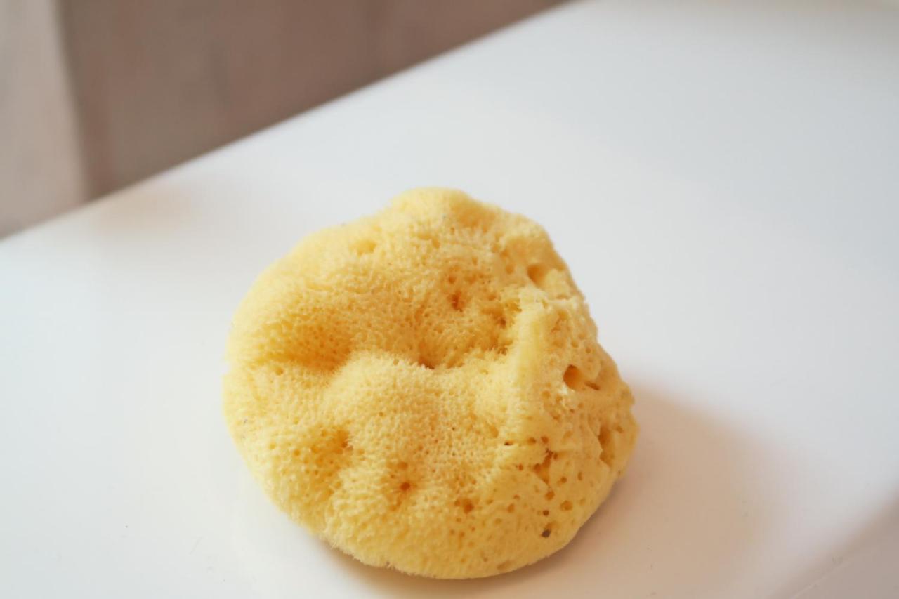 Karbonaca Fazana